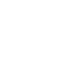 Vehicle Detection