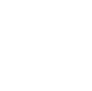 Large Language Models (LLMs)