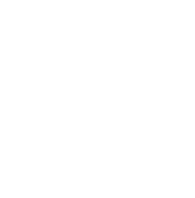 LLM-Powered Chatbots