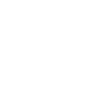 Document Summarization